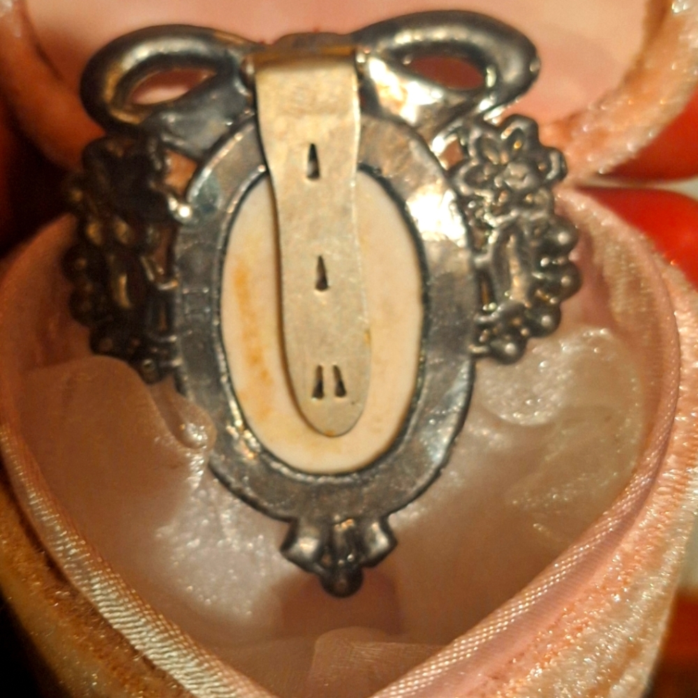 Vintage dress clip